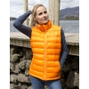 Ladies` Ice Bird Padded Gilet Result R193F