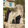 Sac Fourre-tout en Coton Recyclé Westford Mill W915