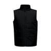 Access Insulated Bodywarmer Regatta TRA842