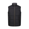 Bodywarmer Rembourré Isolant Altoona Regatta TRA806