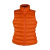 Ladies` Ice Bird Padded Gilet Result R193F