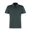 Regular Fit Cooltex® Plus Micro Mesh Polo KK455